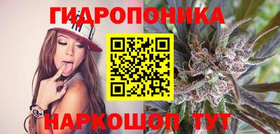 спайс Будённовск
